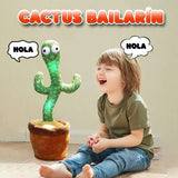 Cactus bailarín 🌵 - Globo Mercado