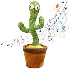 Cactus bailarín 🌵 - Globo Mercado